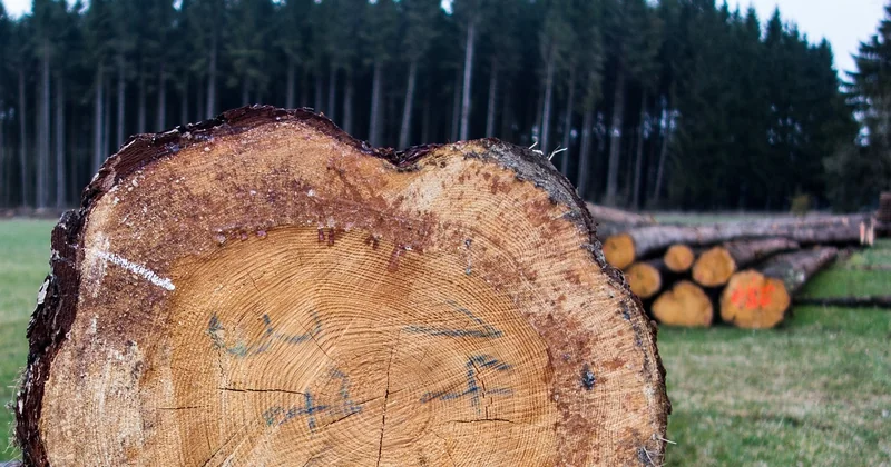 Les canaux d'approvisionnement : au-delà du producteur direct